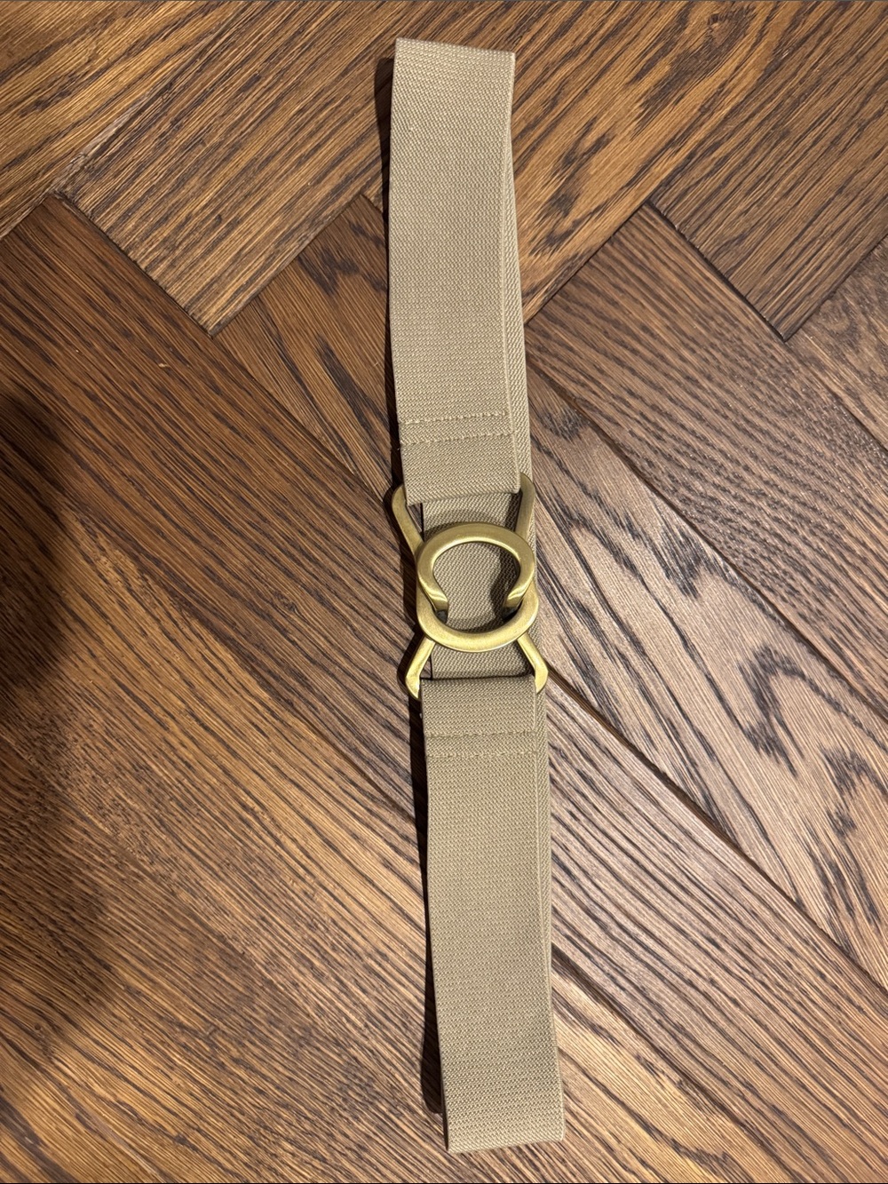 Beige/Tan  Elastic Belt with Gold Double-Ring Buckle